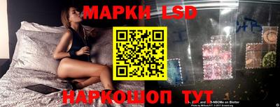 PSILOCYBIN Кулебаки