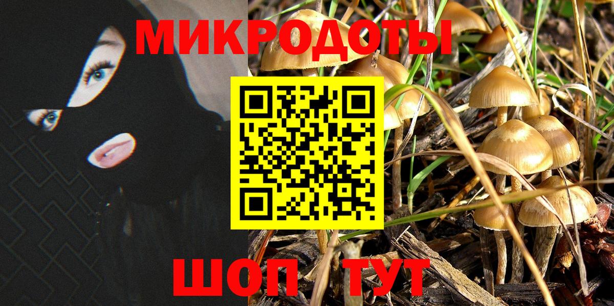 Кирово-Чепецк  Галлюциногенные грибы ЛСД  Вход с VPN 